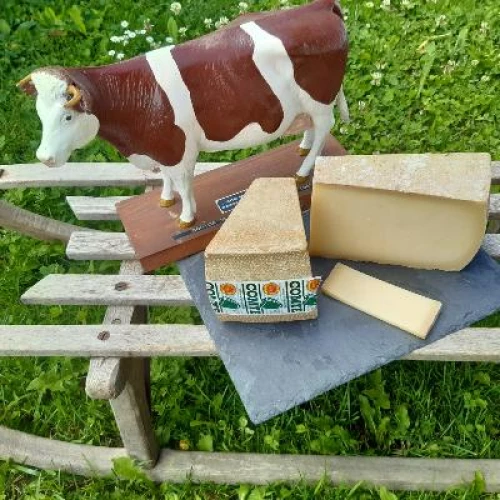 Comté affiné en cave tempérée où il a mûri environ 16 mois. 
